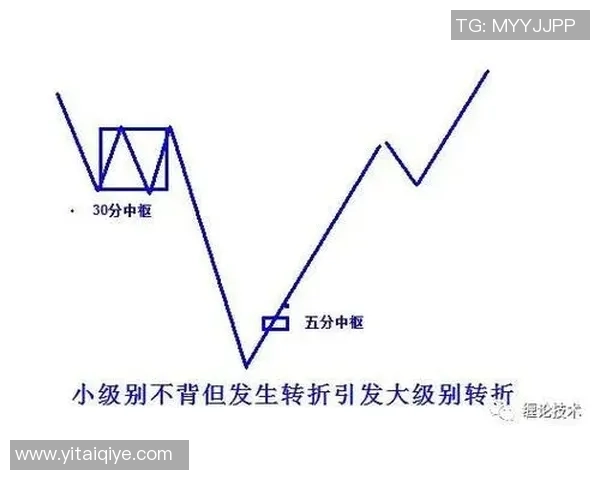 杭州乒乓球队战术揭秘深度解析盯防策略与实战应用