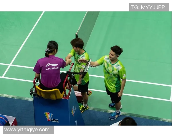 武汉羽毛球队与南京羽毛球队赛后复盘分析意识与战术的深度对比