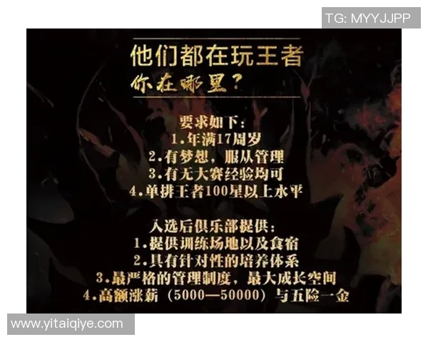 深入解析王者荣耀战术策略：WE战队的成功之道与战术创新探讨